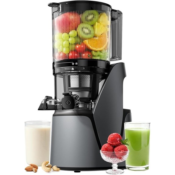eanoruus 3 in 1 juicer